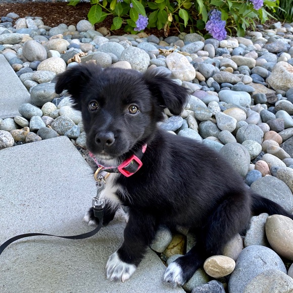 Meet Danielle! - Picture 5 of 7